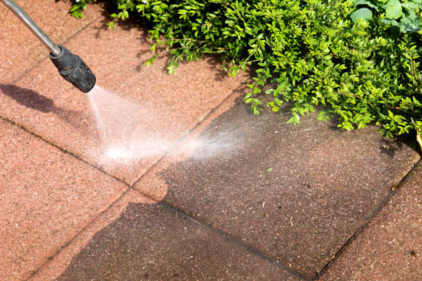 Best Best Pressure Washing Companies  in Sumter, SC